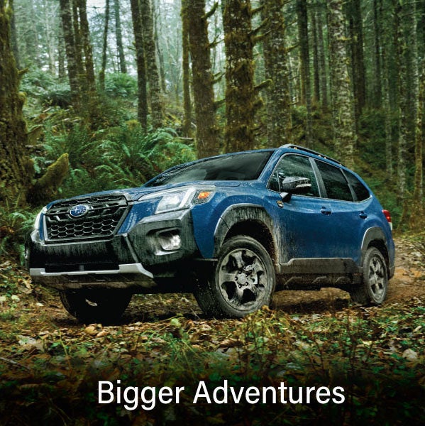 A blue Subaru outback wilderness with the words “Bigger Adventures“. | Friendship Subaru of Beckley in Mount Hope WV